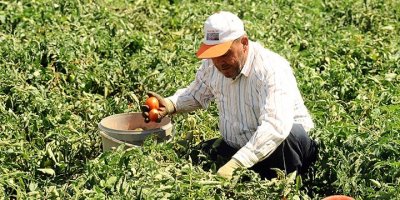 Adanalı çiftçiler olumsuz etkileniyor!