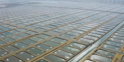 Tarıma Dayalı İhtisas Su Ürünleri Organize Sanayi Bölgesinde ön talep süreci başladı