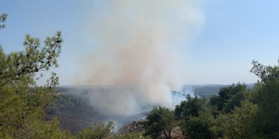 Adana'daki orman yangını kontrol altına alındı   