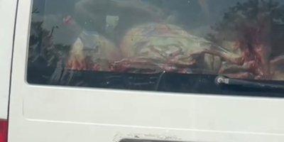 Adana'da etler hijyen kurallarına aykırı taşındı