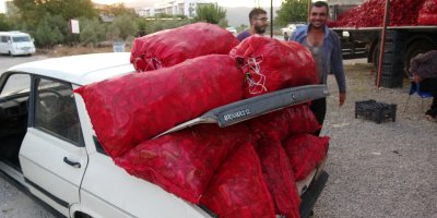 Çiftçilerin zorlu biber mesaisi