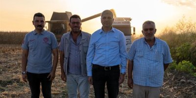 Adana'da mısırda 1 milyon 135 bin ton rekolte bekleniyor
