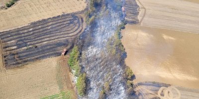 Adana'da çıkan orman yangını kontrol altına alındı