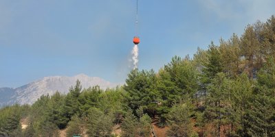 Aracın neden olduğu orman yangını kontrol altına alındı   