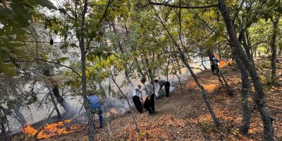 Adana Feke’de orman yangını ekipler havadan ve karadan müdahale ediyor