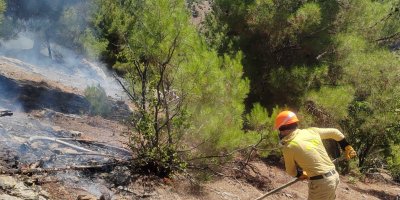 Adana Feke'deki orman yangını kontrol altına alındı