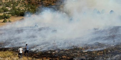 Adana Tufanbeyli'de orman yangını
