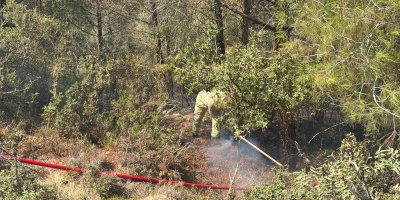 Adana'da orman yangını kontrol altına alındı