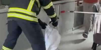 Adana’da mutfaktan çıkan yılan paniğe yol açtı  