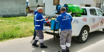 Adana'da sivrisinek sorununa belediyeden açıklama geldi