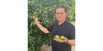 Doğan "Turunçgil kesim ve ihraç tarihlerinde sahadaki gerçek üretim şartları dikkate alınmalıdır’’