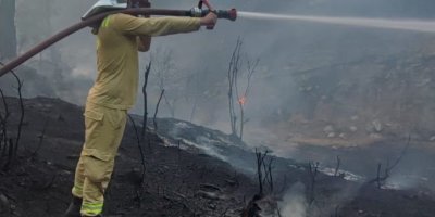 Adana'daki orman yangını kontrol altına alındı   