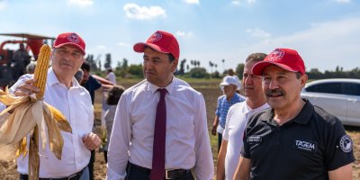 Kale mısır çeşidi, üreticilere tanıtıldı