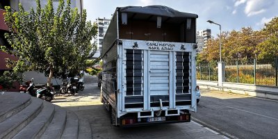 Adana'da 30 milyonluk kaçak doldurulmuş sigara ele geçirildi