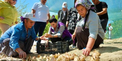 Kadınlar, 'Akzambak Projesiyle' güçleniyor