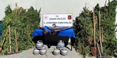 Ormanda uyuşturucu yetiştirmişler: 2 kişi gözaltına alındı