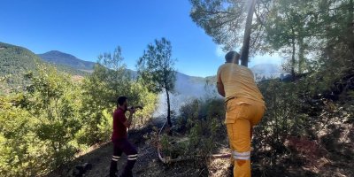 Adana'da orman yangını çıktı