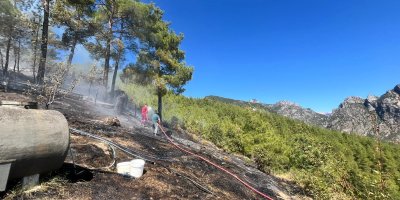 Adana'da çıkan orman yangını kontrol altına alındı