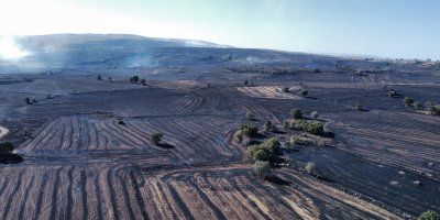 Uzmanı uyardı: "Orman yangınlarına karşı topraktaki nem kapasitesini arttırmalıyız"