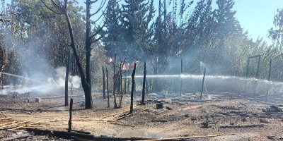 Adana'da tarım işçilerinin kaldığı 4 çadır yandı