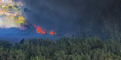 Adana'da geri dönüşüm fabrikasında yangın çıktı