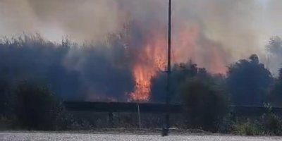 Zamanında müdahale yangının bahçelere sıçramasını önledi