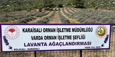 Bakımını yapan kullanım hakkını elde edecek