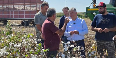 Kısacık'tan Pamuk Hasadı Yapan Çiftçilere Ziyaret