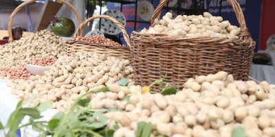 Yüreği̇r’i̇n fıstığı, festi̇vale tat kattı