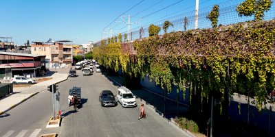 Sarmaşıklarla kaplı metro yolu, görsel şölen oluşturuyor