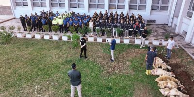 Adana Emniyeti, operasyonlar başarılı geçince kurban kesti