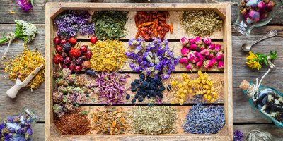 İşte kışın mutlaka tüketilmesi önerilen en faydalı bitki çayları… 