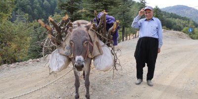 Dağ köylerinde eşekle odun çekme nostalji yaşattı