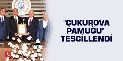 "Çukurova Pamuğu" tescillendi