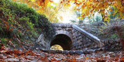 Adana’da sonbahar mevsimi, kartpostallık görüntüler oluşturdu