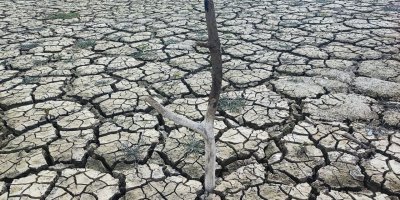 Kuraklığın izi: Seyhan Baraj Gölü'nde sular çekilince toprak çatladı