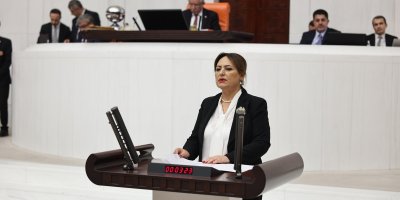 CHP Adana Milletvekili Şevkin, "Suç örgütü lideri serbest, Adana gibi başkan tutsak!"