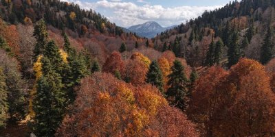 Adana'da sonbahar güzelliği: Adeta doğa sanata dönüştü