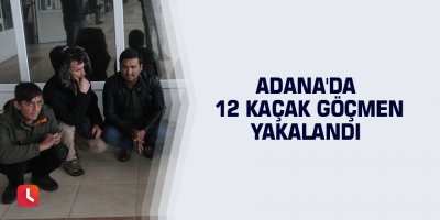 Adana'da 12 kaçak göçmen yakalandı