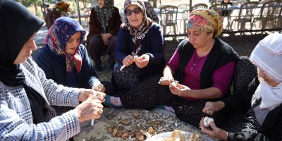 Kilosu etle yarışıyor: Japonların gözdesi sedir mantarı çıktı