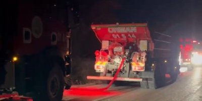 Adana'da orman yangını büyümeden söndürüldü