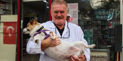 Adana Veteriner Hekimler Odası Başkanı Nihat Köse hayatını kaybetti