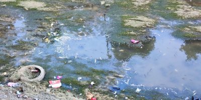 Sulama kanalındaki balıklar telef olmaya devam ediyor