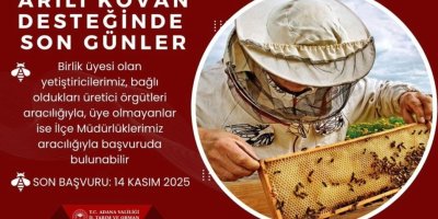 'Arılı kovan' desteği için son gün