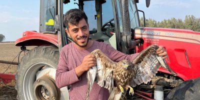 Hasadı bıraktı şahinin yardımına koştu