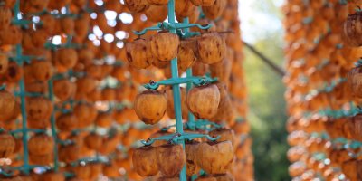 Adana'nın hurmalı köyü, açık fabrikaya dönüştü