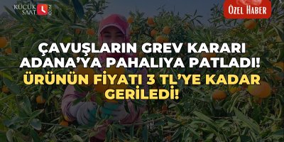 Çavuşların grev kararı Adana’ya pahalıya patladı! Ürünün fiyatı 3 TL’ye kadar geriledi!