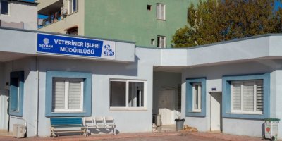 Seyhan Belediyesi'nden sokak hayvanlarının usulsüz toplandığı iddialarına yanıt: “Veteriner gözetiminde, uyuşturucu madde yok”