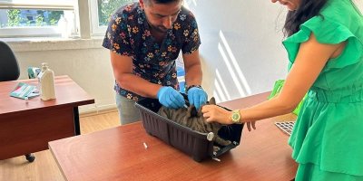 Kedi ve köpeklerin kimliklendirilmesi için son tarih 31 Aralık