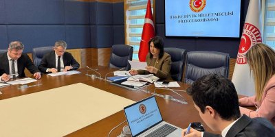 TBMM Dilekçe Komisyonu 1 aylık faaliyet raporunu açıkladı: İlginç talepler dikkat çekti